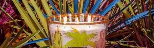 香氛届的艺术品――BAOBAB COLLECTION