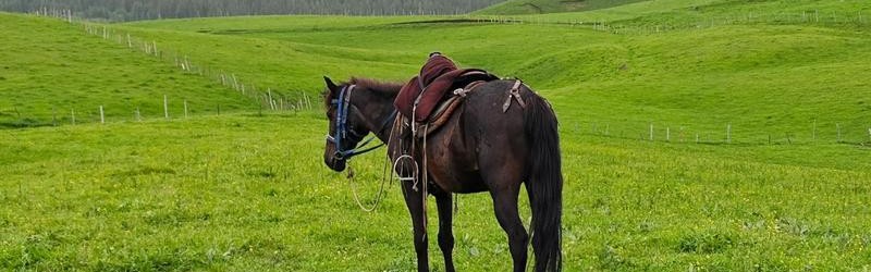 时尚芭莎90秒 ｜你想都不敢想的盛世美景，坐标中国