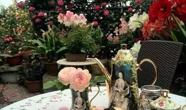 十年养两花，她的屋顶盛开如画