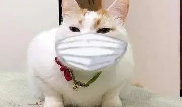 要美不要危险，战“疫”期间的首饰可不好戴！