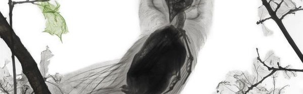 X射线里的生命之美