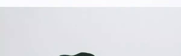 包装中只要加点动物元素，立马萌萌哒