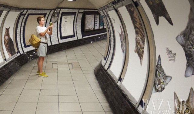 喵星人福利日，伦敦的地铁站都被猫咪占领了！