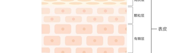 秋季干燥季，你的化妆水真的补进去了吗？