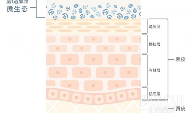 秋季干燥季，你的化妆水真的补进去了吗？