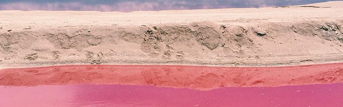 墨西哥的粉色水域，看一眼就忘不掉