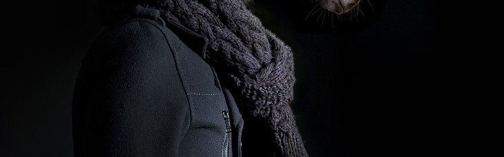 真实版疯狂动物城，兽面人身，带来诡异视觉体验