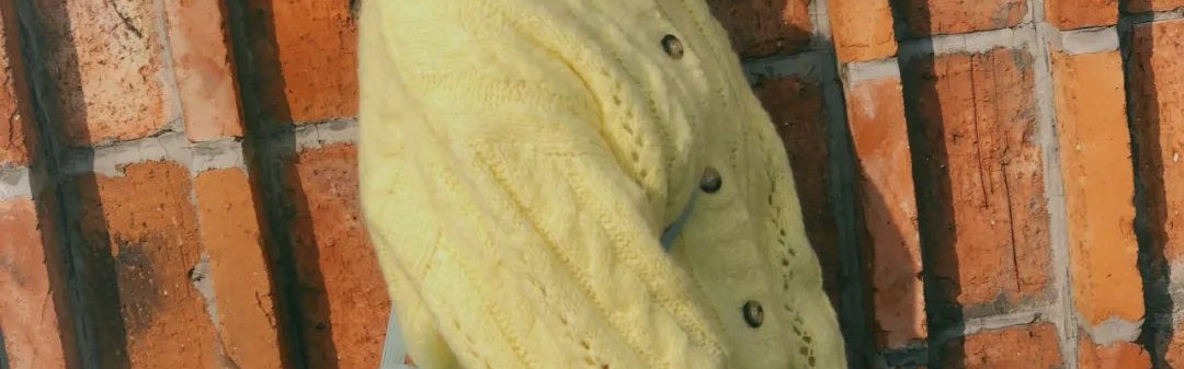 买到刘诗诗的新包后，2020年的心态终于不不崩了!