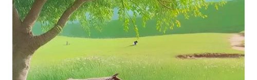 “喂！看路！”