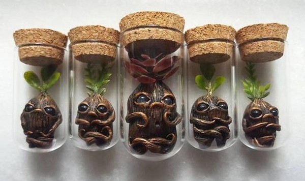 掌中的魔法森林