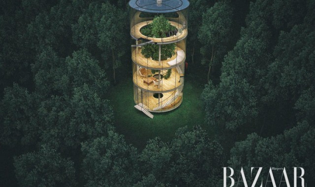 这也许是你见过的最美的林中小屋