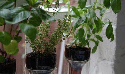 酒瓶变花瓶：DIY实用个性的艺术花器