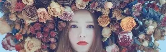 种了这么多年的花，花儿们的梦想你知道吗