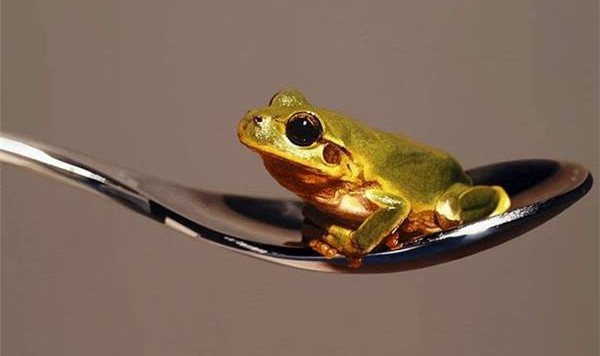 他的画比照片还写实