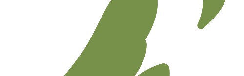 万妮达：既是有福之人，就来有福之州