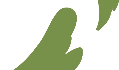 万妮达：既是有福之人，就来有福之州