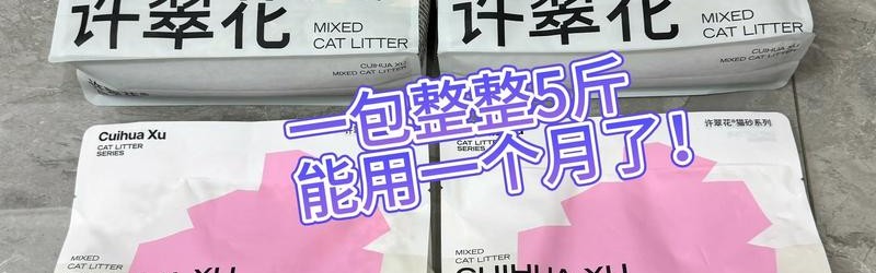 说真的，拼手速不如拼手美！