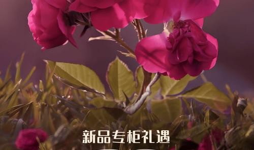 馥郁玫瑰，臻致礼遇