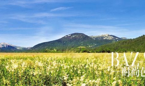 L’Occitane欧舒丹全新焕亮美白新品上市