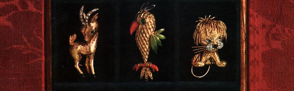 特别的寻狗启事：你祖母见过这只小狗吗？