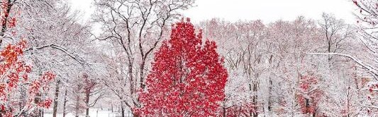 冬天皮肤干燥脱皮？ENEOMEY教你用“果酸”一招搞定