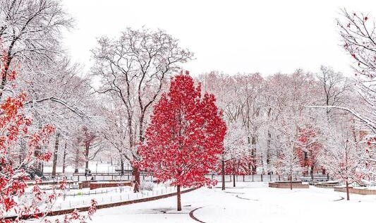 冬天皮肤干燥脱皮？ENEOMEY教你用“果酸”一招搞定