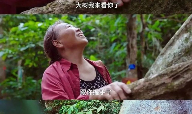 出走的房主任，爆红和爆哭一起来