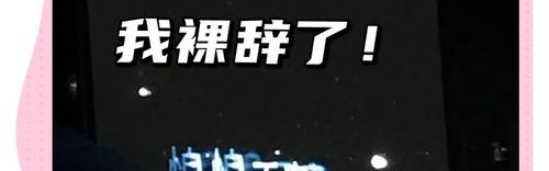 某种程度上说，Adele也选择了“裸辞”