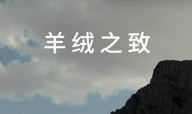 鄂尔多斯集团发布影片《羊绒之致》