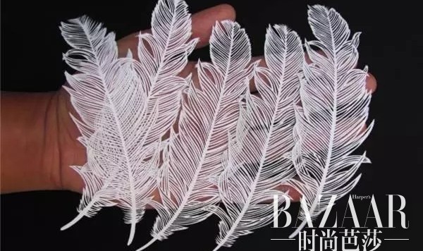 他只用一把雕刻刀，就让羽毛跃然纸上