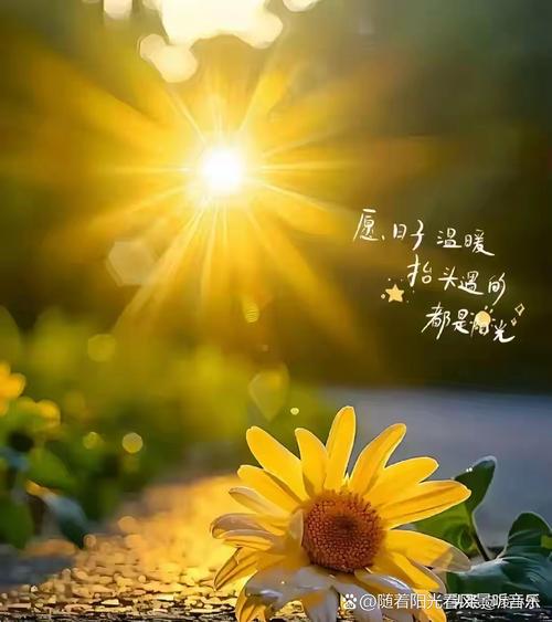 把可有可无的事变得有意义,这样的仪式感新的一年多多益善!