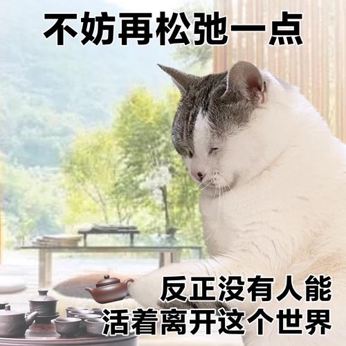 生图不崩的状态感,从哪儿来?