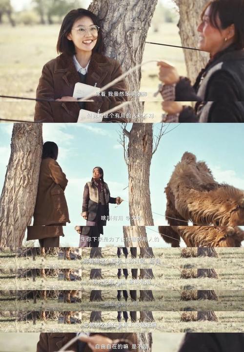 人瘦了,票房拿了,0提名,可惜吗?