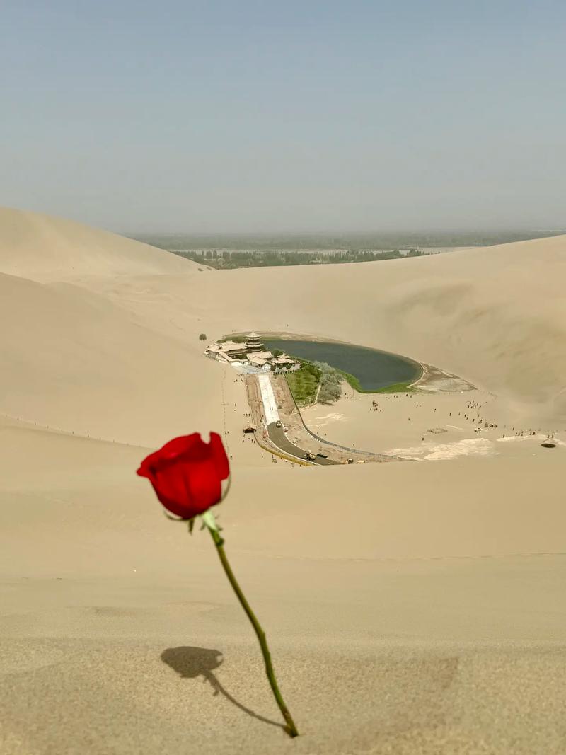 土地可以贫瘠，心灵却务必丰盈