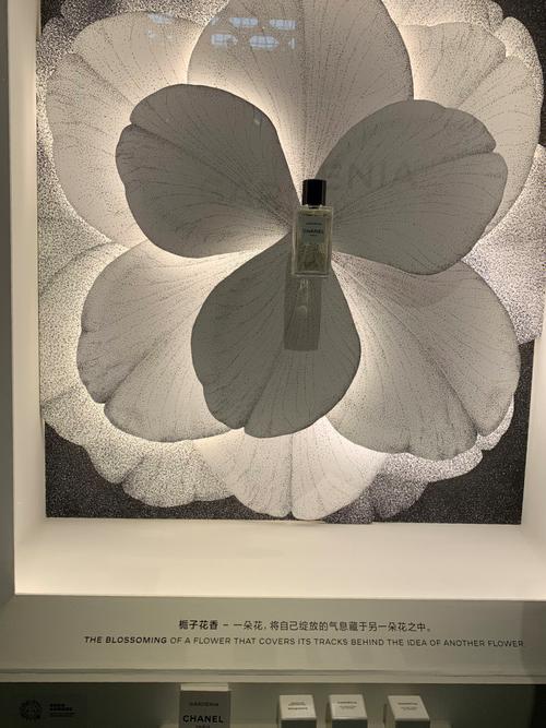 《感知香奈儿》香水展即将开幕 香气 色彩 声音的契合