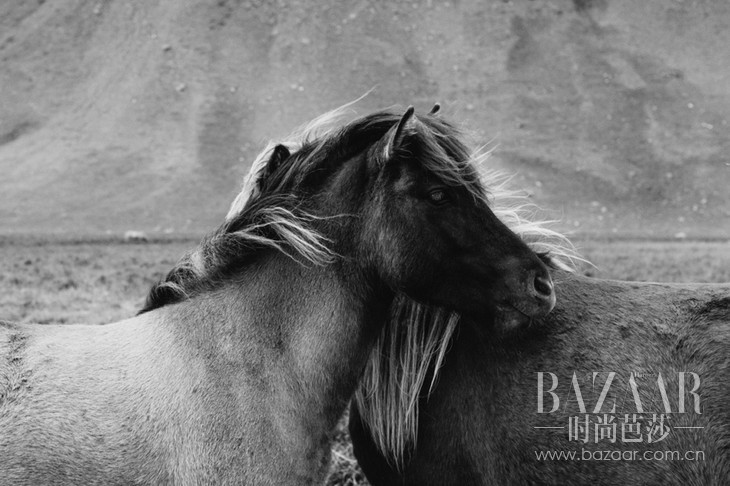 1b45f6ff457932a98cf247034ebc4946