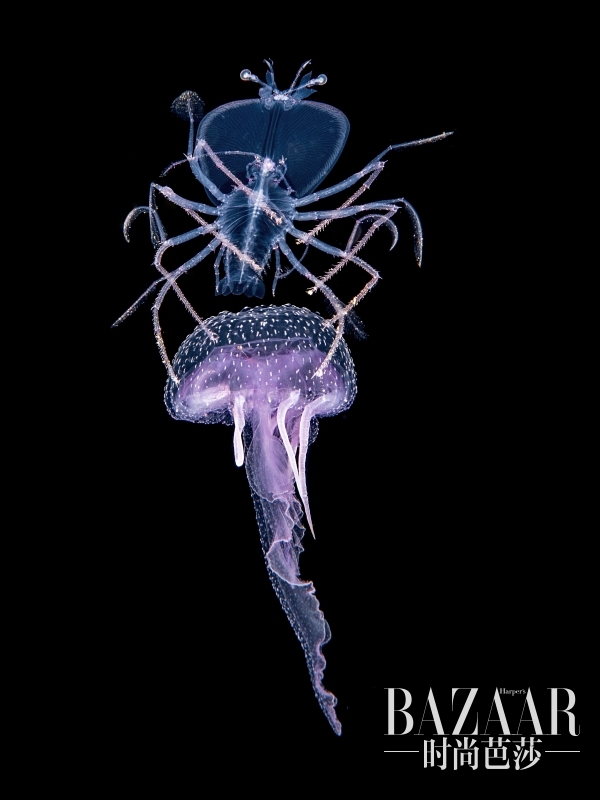 金奖《神秘乘客》,摄影:Anthony Berberian 2015