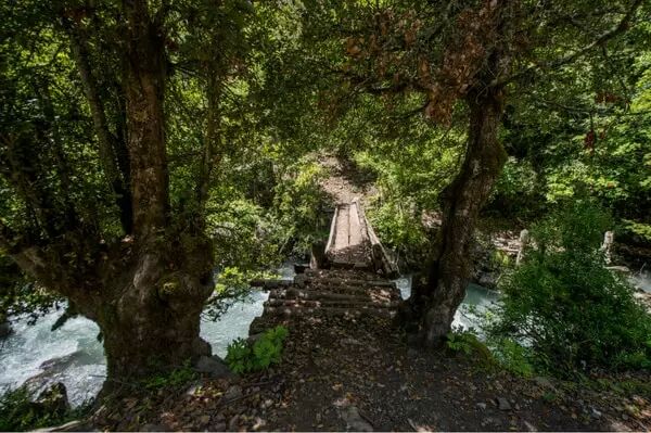 7b16d6556d15e494a8e0a29d73d95dc1