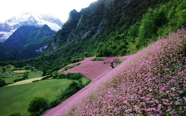 3a7ca7e4900f284fc0774028beaae3c6