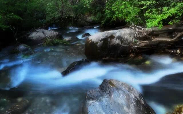 098404596e3eb35d367ba1bcd1b6da2c