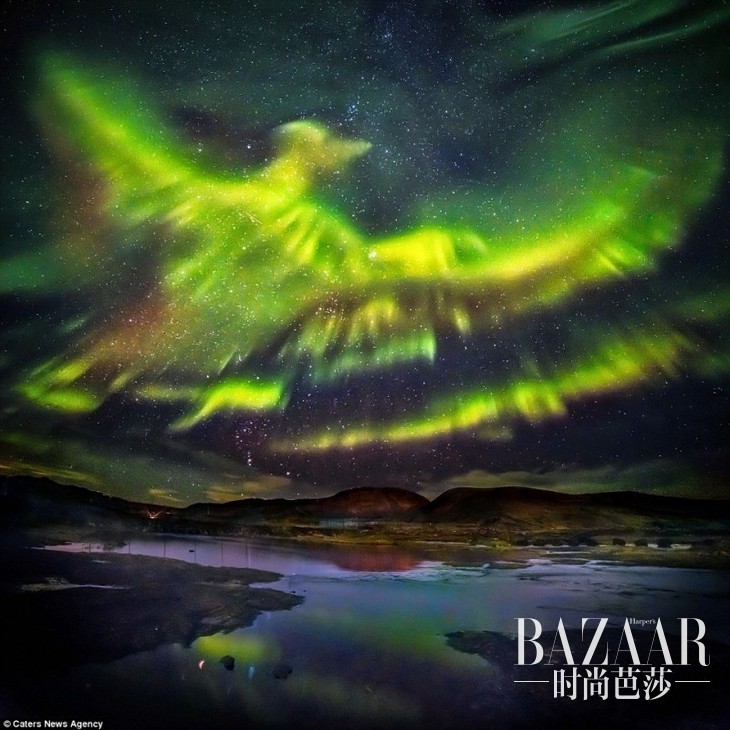 adaymag-3178a6d500000578-0-image-a-47-1456225791910-01-800x800