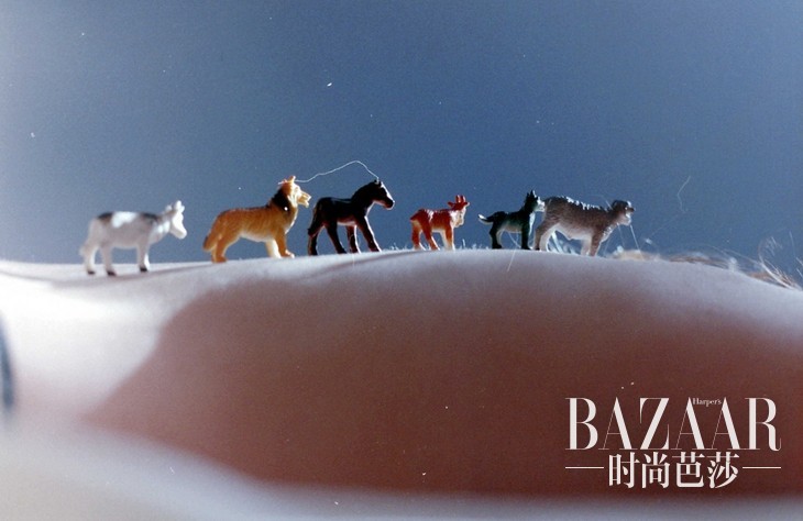 3bacf43d16173e718e182b21f19e7fc8