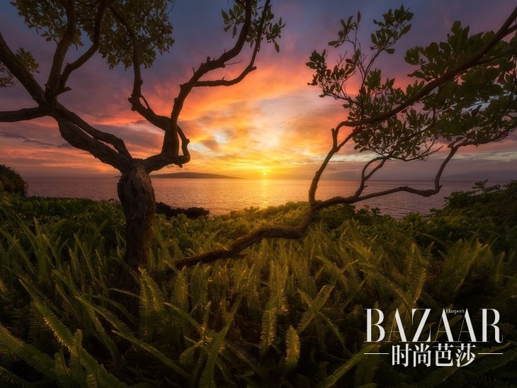 6163280320151027172945020