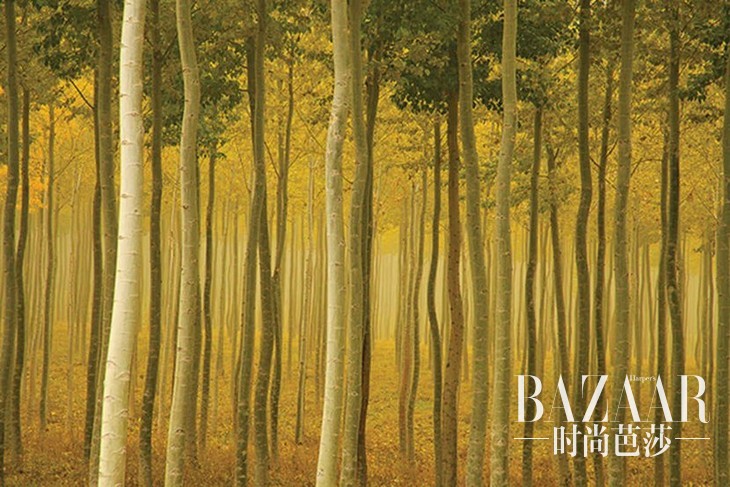 6163280320151027173220046