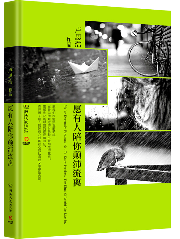 《愿有人陪你颠沛流离》封面立体展示