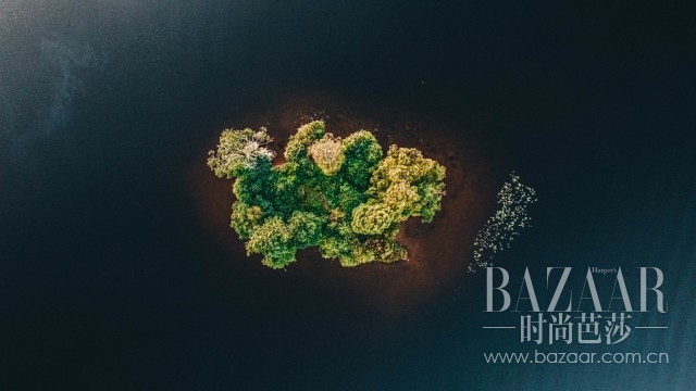 2bb9a48c354937eaa4c88a0184e24a69