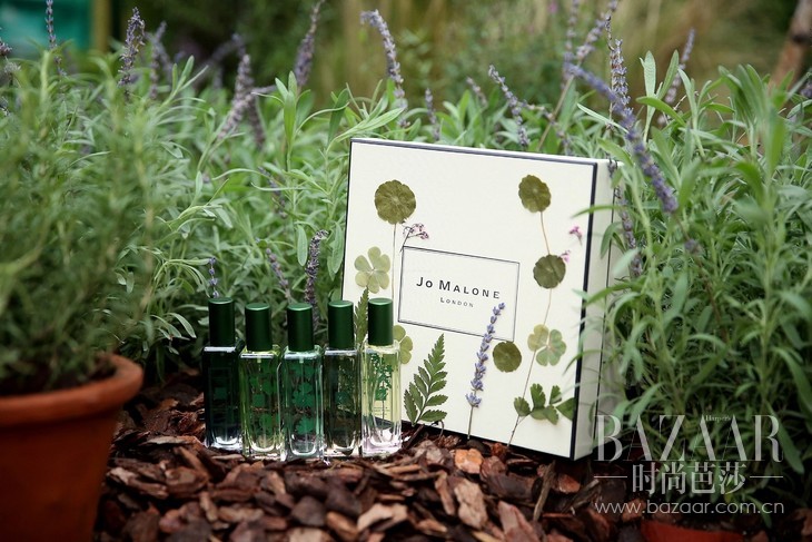 祖·玛珑The Herb Garden香草花园英伦限量系列 (2)