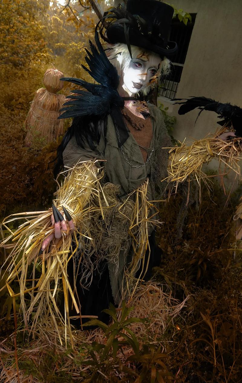 稻草人多少金币,乌鸦造型特别稻草人可放置花园驱赶通通乌鸦