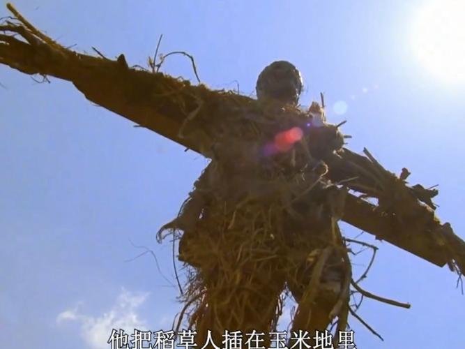 稻草人多少金币,乌鸦造型特别稻草人可放置花园驱赶通通乌鸦