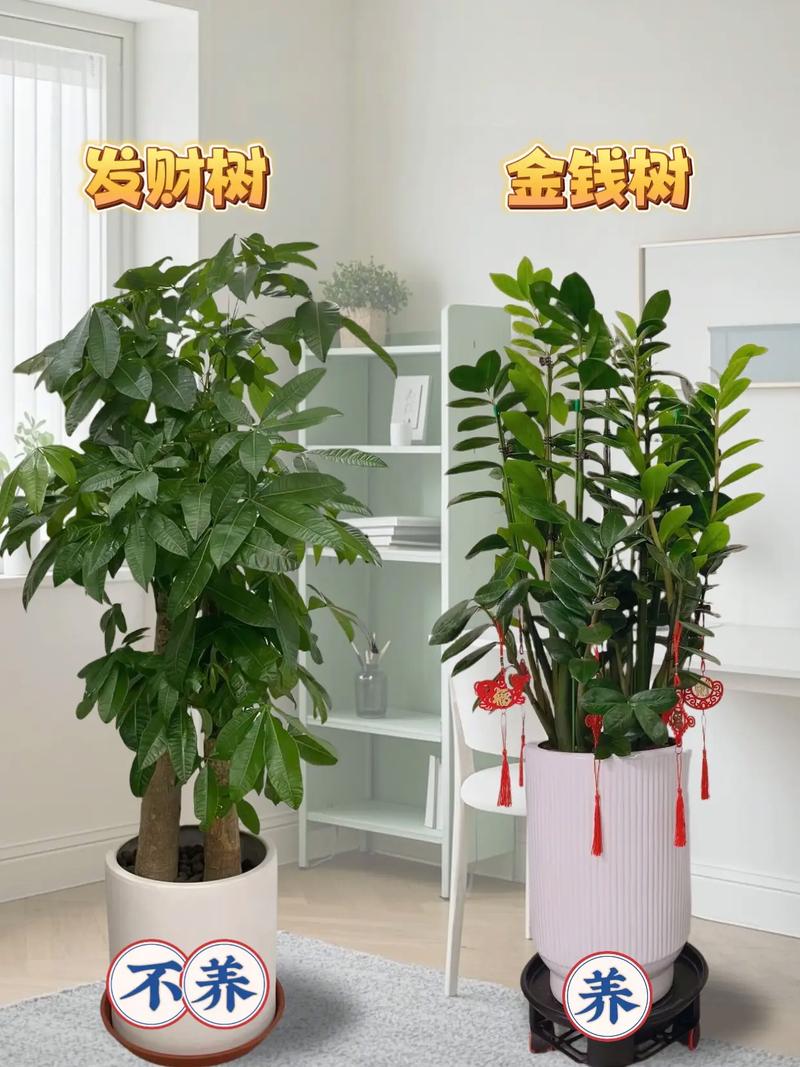 赌十块钱，这样的盆栽你一定没养过